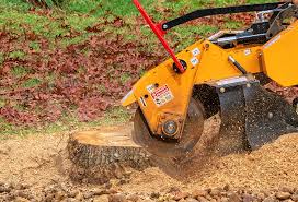 Trusted Pullman, WA Tree Care Experts